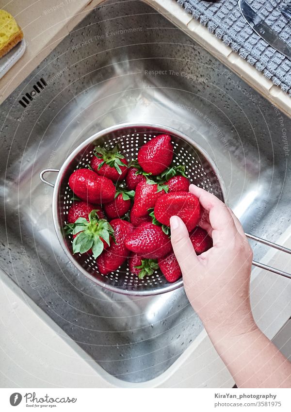 Washed ripe juicy red strawberries in mesh strainer above sink washed hand clean water wet kitchen pov top view berry closeup colander cooking delicious diet