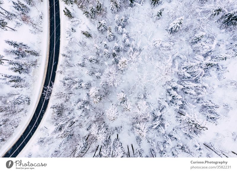 Curvy windy road in snow covered forest, top down aerial view. Winter landscape. winter drone above nature snowy white tree background season ice scenic cold