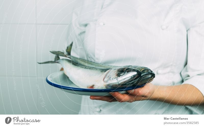 Woman in chef's clothes showing a dish with fresh fish. Kitchen concept. mackerel person professional kitchen wildlife seafood white jacket market raw uncooked