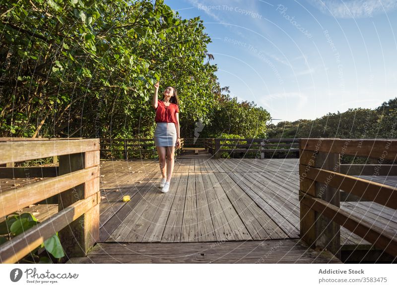 Young traveler standing on wooden bridge over forest tourist tourism picturesque wanderlust harmony woodland touch hair greenery vacation peaceful journey