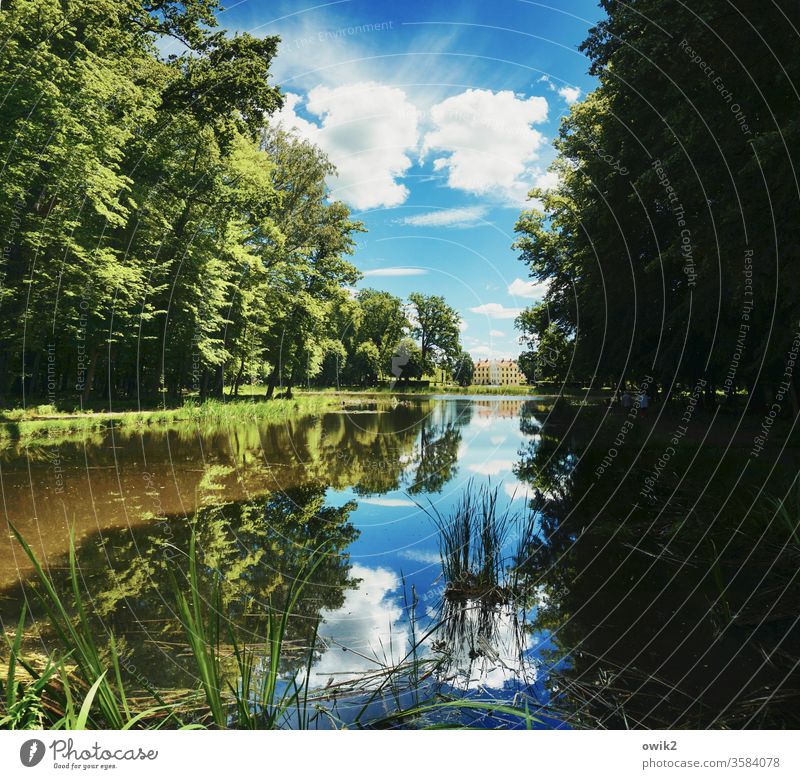 Manorial Park Lake Pond bank Lakeside Idyll Symmetry green spring Contrast Long shot grasses Castle grounds Lock Blur Panorama (View) Far-off places Shadow