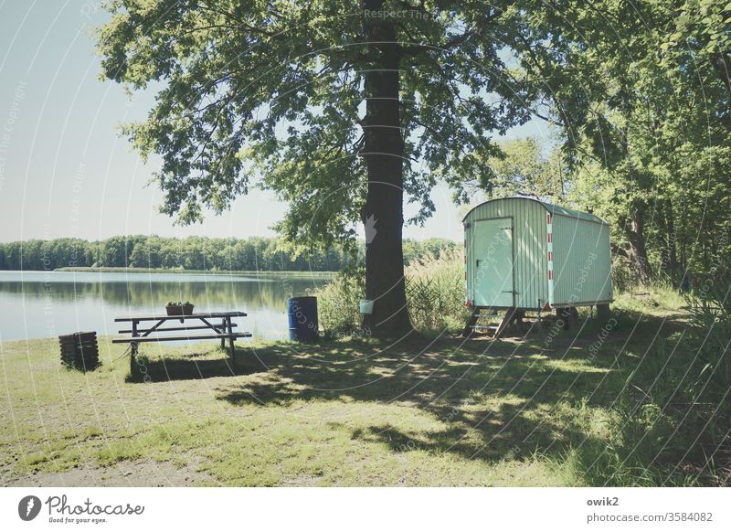 RESIDENTIAL AREA Lakeside Nature Water Exterior shot Colour photo Landscape Blue Deserted Plant Sky tree Sunlight Shadow Contrast Bench Seating Container Lonely