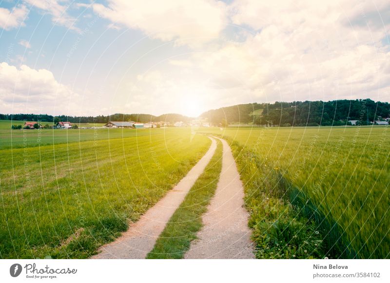 Road goes through valley, green field, the hills at the sunset sky landscape countryside road sunlight idyllic clouds agriculture meadow rural view scenery dirt