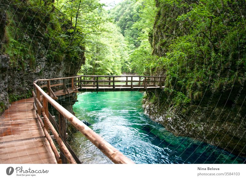 Wooden bridge above mountain river, wild nature landscape. Clean water. travel vintgar triglav stream outdoor green forest slovenia europe summer gorge