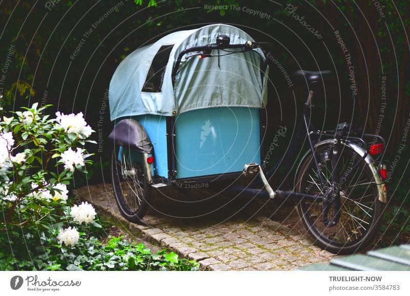 For city nomads - a cargo bike in a sky-blue covered wagon design waits in the dark corner of a Berlin backyard next to white peonies in full bloom for its next use