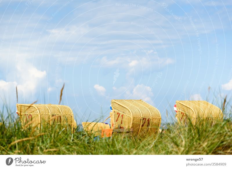 Beach chairs behind a dune at the Baltic Sea beach in sunshine and blue sky beach chairs Beach dune Baltic beach Vacation & Travel Coast Sand Ocean Summer