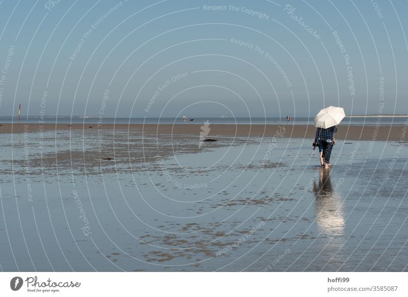Hiking in the mudflats at low tide with parasol Umbrellas & Shades Sunshade Going 1 Human being Mud flats Ocean Movement Bright Maritime Wet North Sea Coast