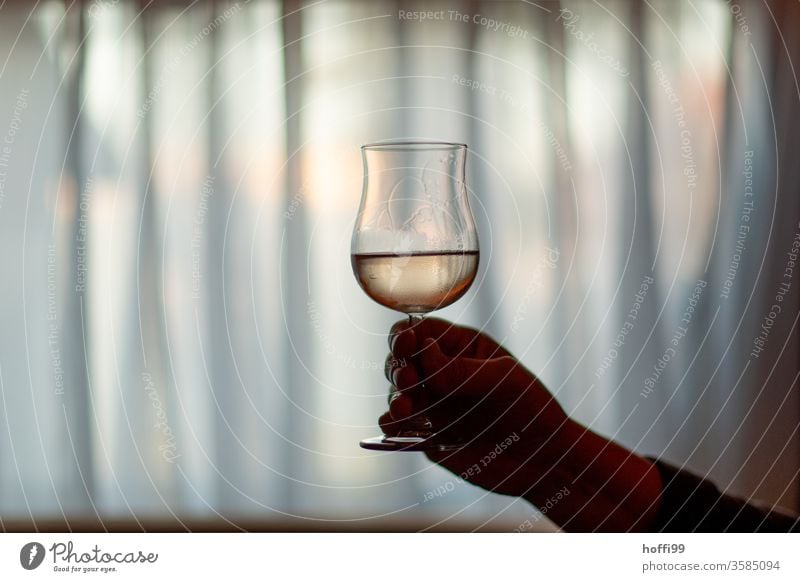 a glass of rosé in front of curtains in the diffuse semi-darkness of the room pink Vine Glass Toast Drinking Alcoholic drinks by hand Restaurant Wine glass Bear