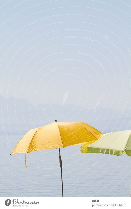 Umbrellas for the centipedes, by the Swabian Sea. Umbrellas & Shades Sun Summer Summer vacation Summery Sunshade sun protection UV radiation Yellow green Blue