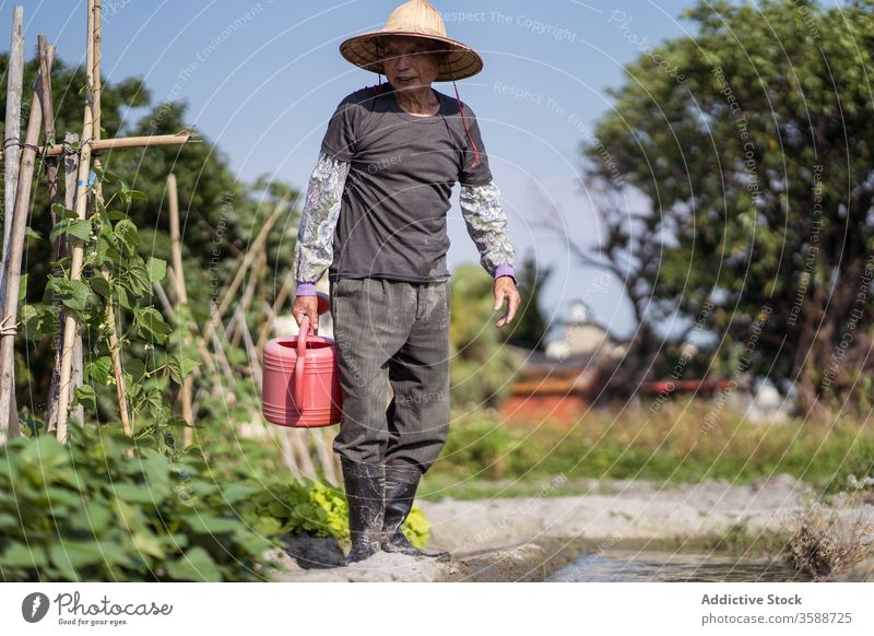 Middle aged ethnic farmer filling red watering can with brook water while working in garden in hot day man watering pot plant agriculture care creek cultivate