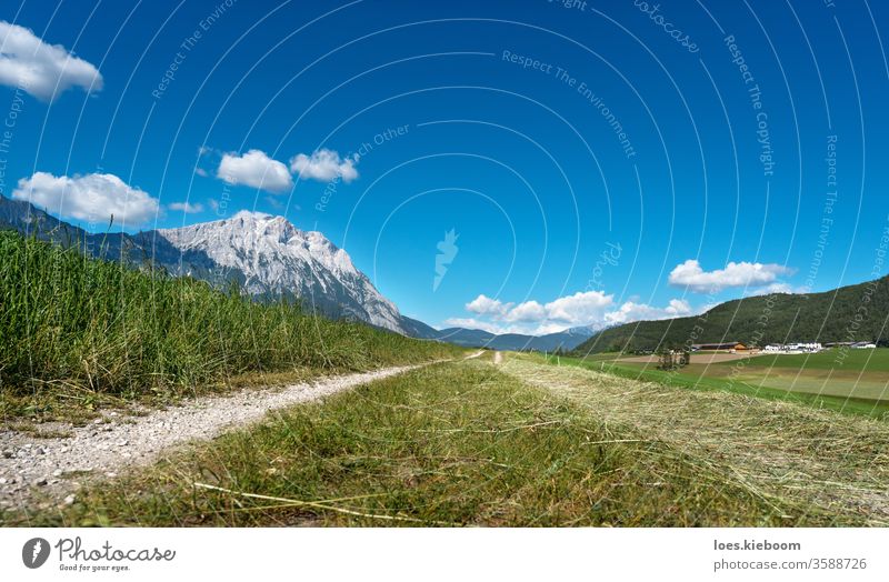 Path trough agriculural meadows in Austrian Alps, Mieminger Plateau, Tyrol, Austria landscape mountains sky austria nature path summer mieming green