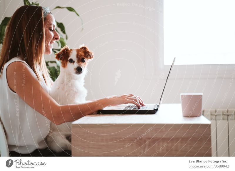 young woman working on laptop at home, cute small dog besides. stay safe during coronavirus covid-2019 concept cuddle love cuddling mobile phone technology pet