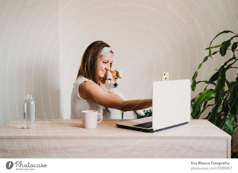 young woman working at home, cuddling Cute small dog. and taking a picture with mobile phone. Stay home concept technology pet jack russell office work home