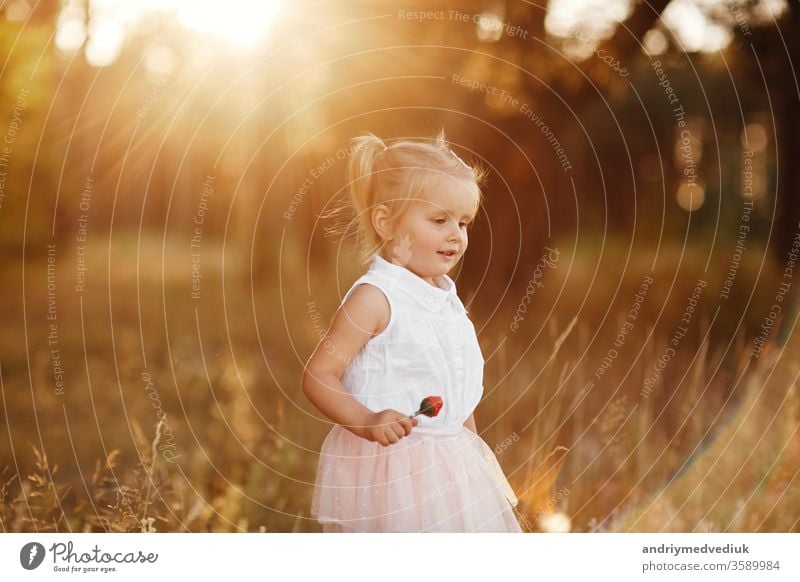 The girl walks in the park at sunset. nice little baby in a pink skirt child portrait spring summer serious cute sad kid beautiful background grass tails two