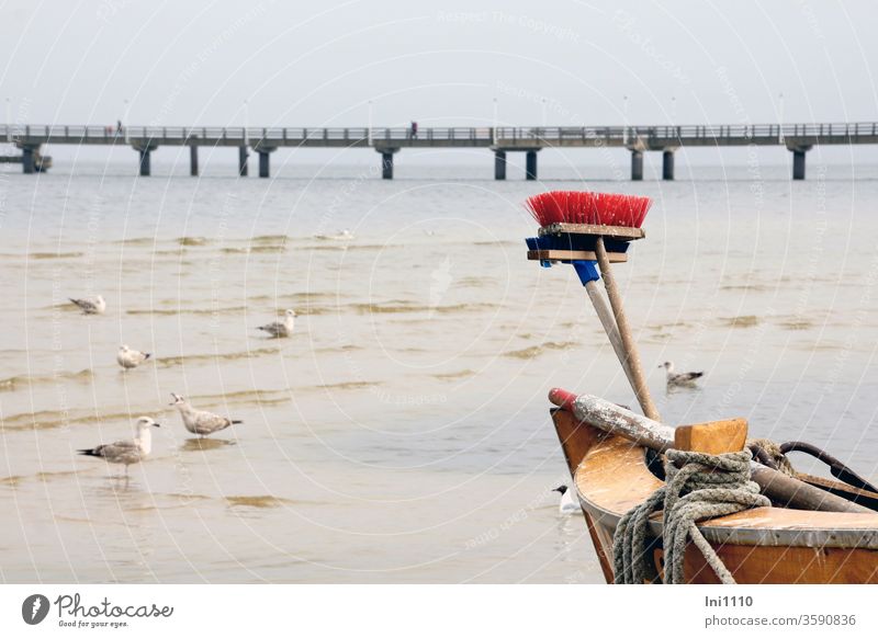 Partial view of fishing boat with broom Seagulls looking for food in front of pier Ahlbeck Island Usedom Fishing boat created ropes Broom Gull birds Foraging