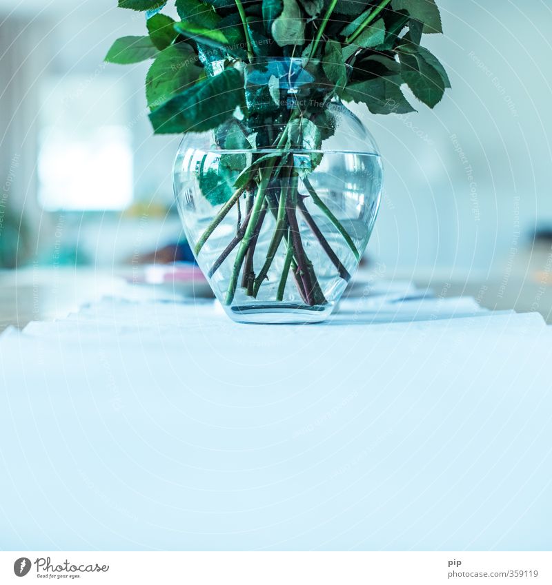 stalky Plant Flower Stalk Leaf Rose Rose leaves Thorn Blue Vase Flower vase Glass Water Bundle Fresh Decoration Colour photo Interior shot Detail Abstract