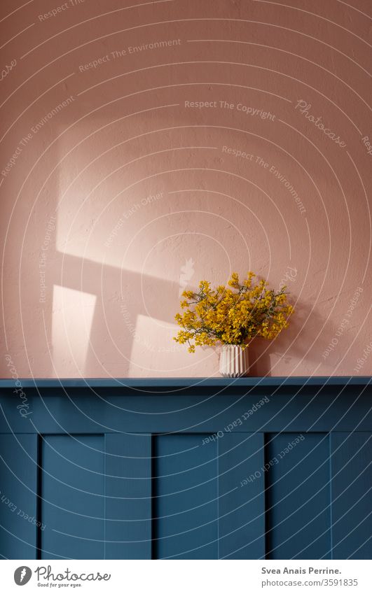 Light - Dark Contrast Wall (building) wall paint Colour natural light Room setup Pink Life dwell Interior shot Design Yellow wood wood panelling Bouquet Vase