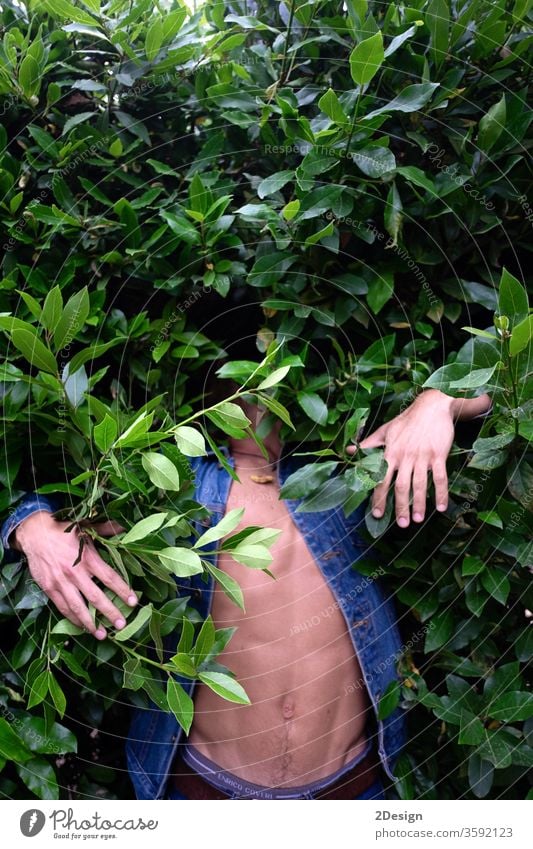 A Young man hidden in green bushes 1 hide jungle leaf person nature people invisible plant young model fashion absurd camouflage tree anonymous teenage face