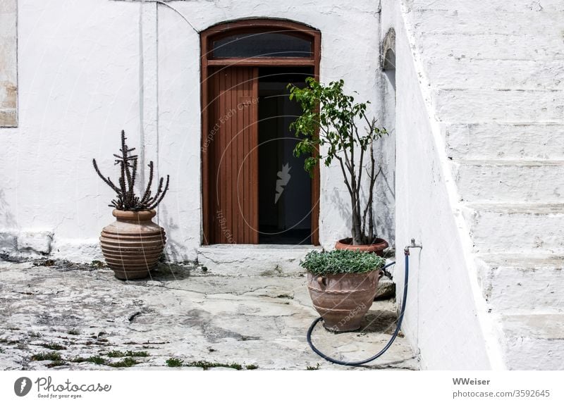 Southern courtyard with open front door White Courtyard ardor Stairs plants Water Hose House (Residential Structure) Shadow Sun Old built Dry Village rural