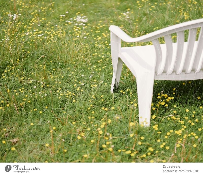 White plastic garden bench stands on a meadow with yellow flowers Bench Garden bench Meadow Grass Yellow rest Sit down green Plastic Relaxation Break Calm Park
