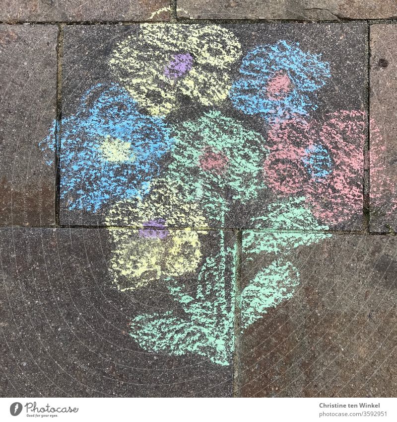 Bouquet of flowers painted with street crayon on natural stones variegated Painted street-painting chalk Street painting Painting (action, artwork) Chalk