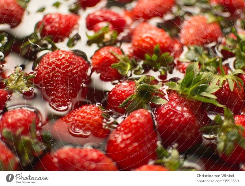 Delicious sweet red strawberries are washed before they are cooked delicious strawberry jam Strawberry fruits Water Wash purge be afloat Cooking Preparation