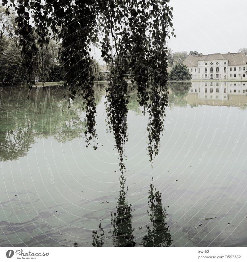 The Hanging Gardens of King's Wartha king wartha Saxony Lausitz forest Eastern Germany Exterior shot out Horizon Landscape Environment Idyll Tree