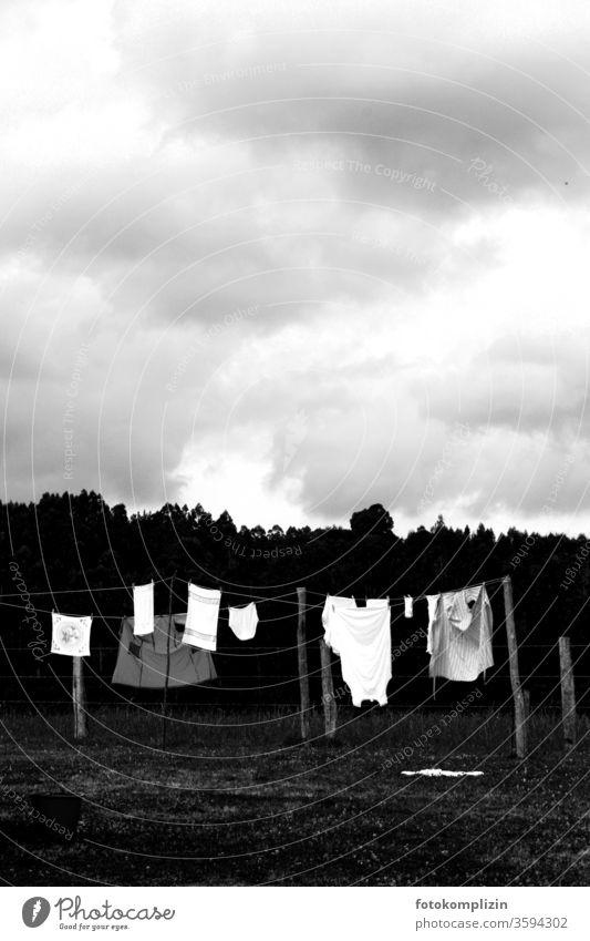 The freshly washed pink t-shirt shows the white underpants to the old  washcloth, in front of a blue sky, how to hang wet and fragrant on the rope  of the washing line