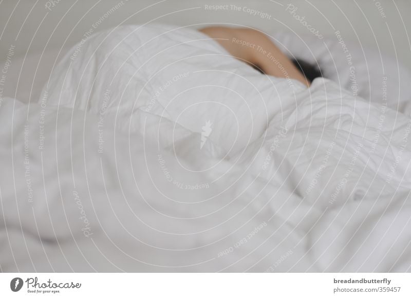 sleep late Bed Duvet Human being Masculine 1 Sleep Bright Cuddly White Warm-heartedness Fatigue Interior shot
