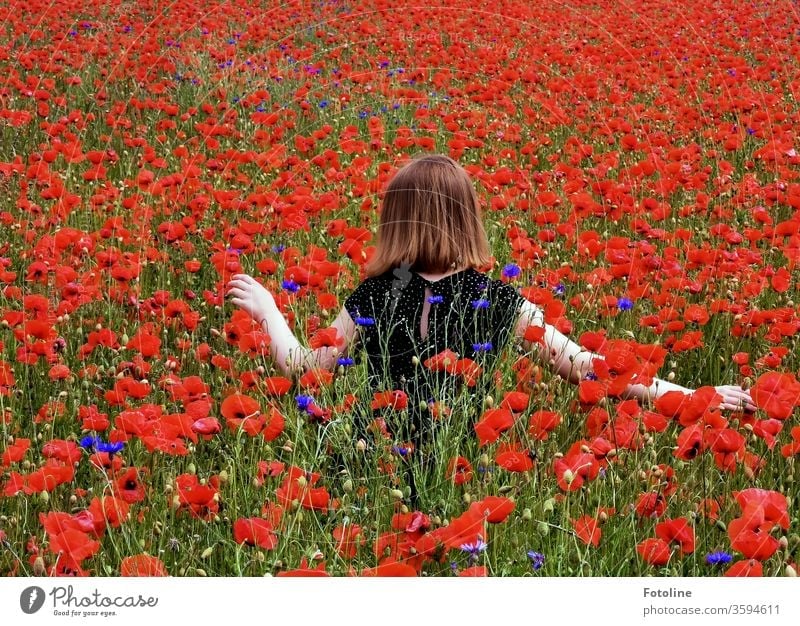 A young teenage girl roams through a poppy meadow. She is very careful not to bend any flowers. Poppy Poppy blossom Plant Red bleed Exterior shot Colour photo