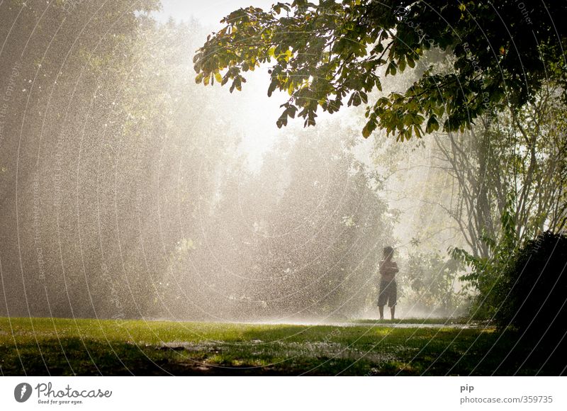 left standing in the rain Human being Boy (child) 1 Nature Landscape Sun Summer Climate Climate change Beautiful weather Bad weather Rain Tree Grass Meadow