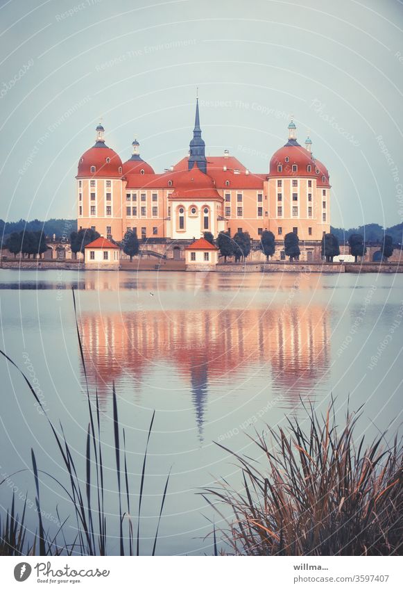 Moritzburg Castle Lock baroque castle Lake reflection Water Water reflection reed Castles in Saxony