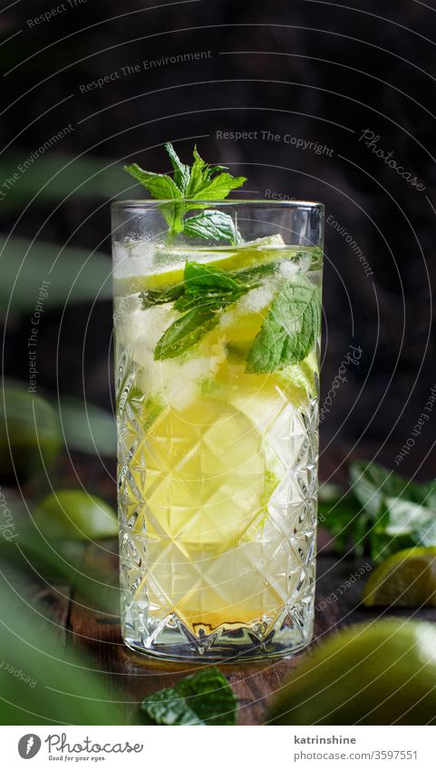 Homemade refreshing mojito cocktail in a tall glass mocktail mint lime Caipiroska caipirinha lemonade beverage drink leaf alcohol dark citrus green copy space