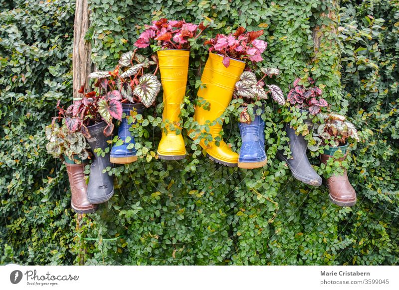 Recycle and reuse rain boots, ideas to reduce waste and pollution in celebration of Earth Day environmentalism recycle and reuse ideas earth day reduce garbage