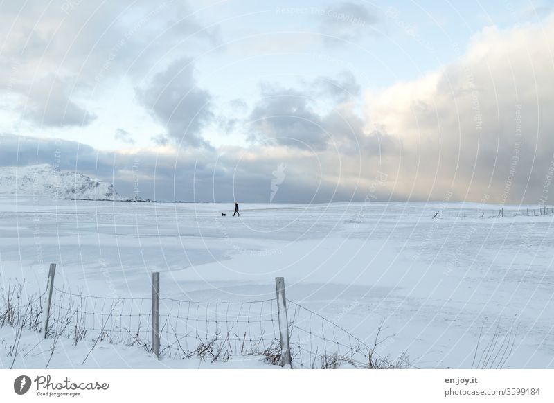 Man with dog walks in winter landscape over fields with snow, fenced in by a fence Winter North Norway Scandinavia Lofotes Snow wide Horizon To go for a walk