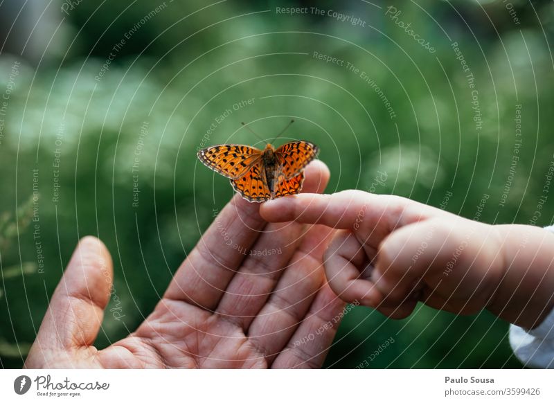 Close up hands With butterfly Father Father with child Child Family & Relations Natural Nature Hand Infancy Human being Adults Girl Toddler Love Parents Joy