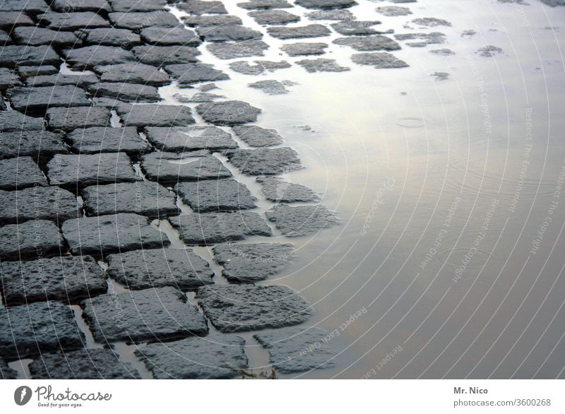 half dry half wet Lanes & trails Paving stone Puddle Street Cobblestones Traffic infrastructure Water Wet Gray Pavement Stone Sidewalk Structures and shapes