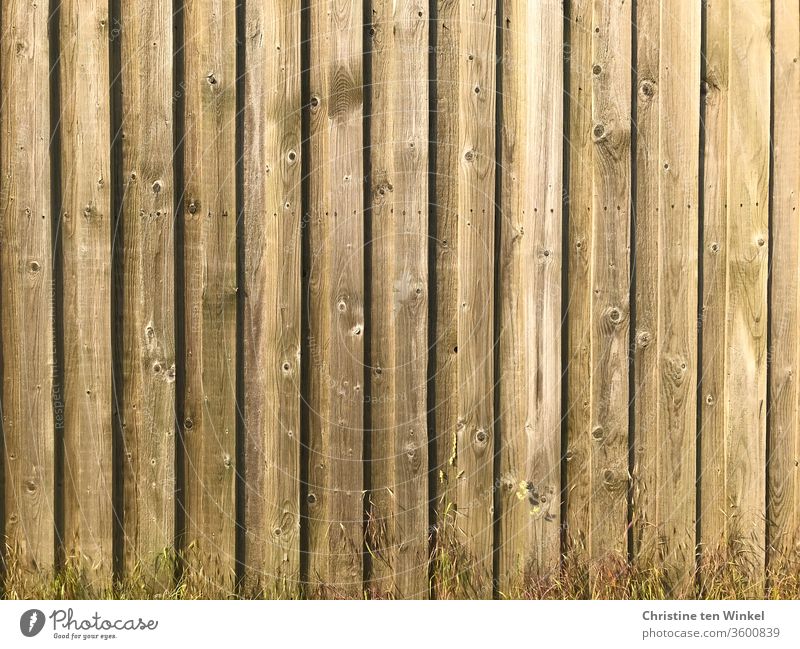 old I Light brown boarded wall with small dry grasses in front of it board wall Wooden wall wood Wall (building) Brown Old Structures and shapes Pattern