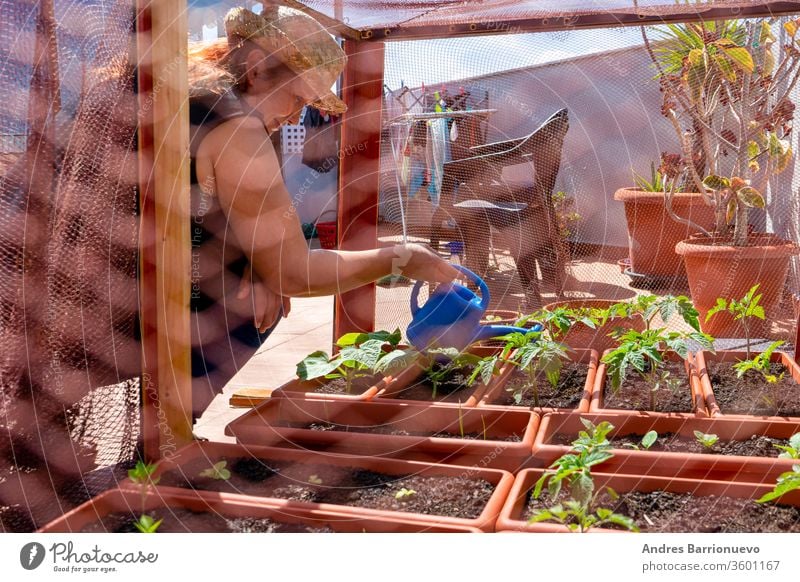 Red-haired woman in a straw hat tending her urban garden protected by net on the terrace of the house green pot working tomatoes spring growing bio home happy