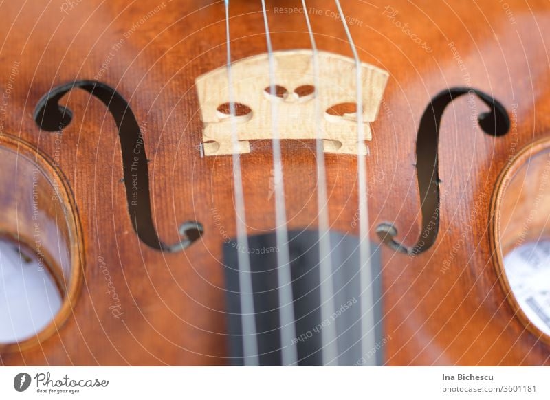 A violin photographed from above and very close up. You can see the bridge, the F holes, a part of the metal sides, a part of the light wood body and a part of the black fingerboard of the instrument.