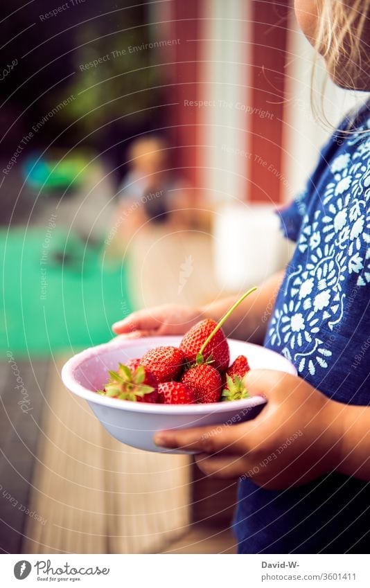 Strawberry time - a little girl holds a bowl of strawberries in her hands shell strawberry Fruity Red Delicious salubriously vitamins Garden fruit Fresh Food