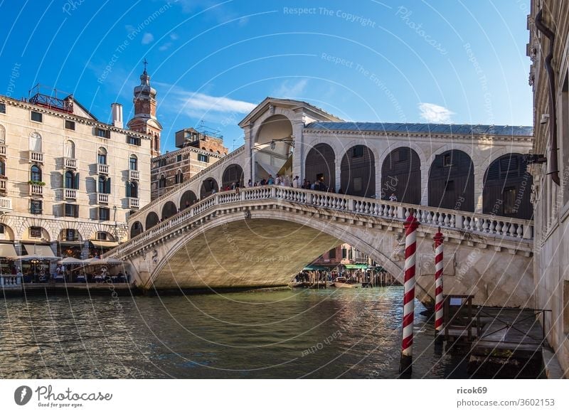 View of the Rialto Bridge in Venice, Italy bridge vacation voyage Ponte di Rialto Town Architecture House (Residential Structure) built Historic Old