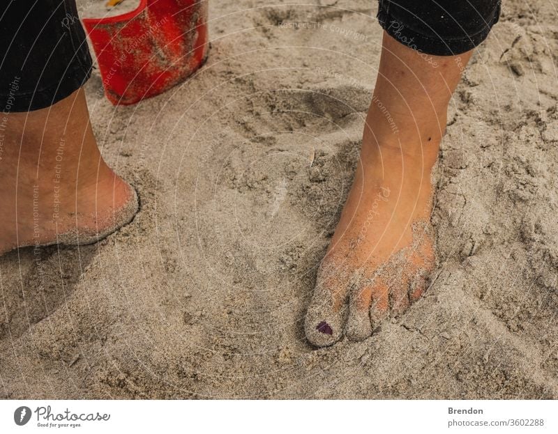 Sandy Feet surrounded by shells on a summers day at the beach background barefoot beautiful beauty blue caribbean coast coastline concept feet female footprint