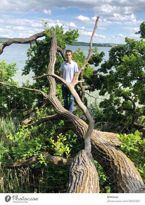 Young man stands on a tree that has fallen into a lake younger Tree Oak tree family vacation active Attractive Topple over Lake