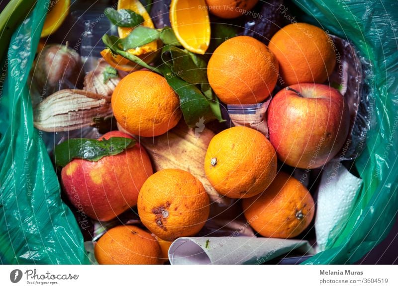 Food waste problem, leftovers Thrown into into the trash can. Spoiled food in refuse bin. Spoiled oranges and apples close up. Ecological issues. Garbage. Concept of food waste reduction. From above.