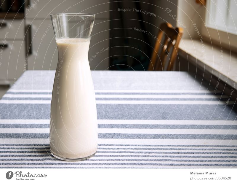 Fresh homemade plant milk in glass carafe standing on the kitchen table. Cozy atmosphere of interior, simply, plain healthy oat milk on tablecloth. Copy space.