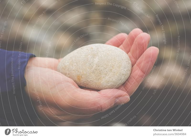 old | Oval smooth stone from the Baltic Sea beach lies on the palm of a woman's hand Stone To hold on Hand Woman 45 - 60 years Adults Pebble naturally Calm