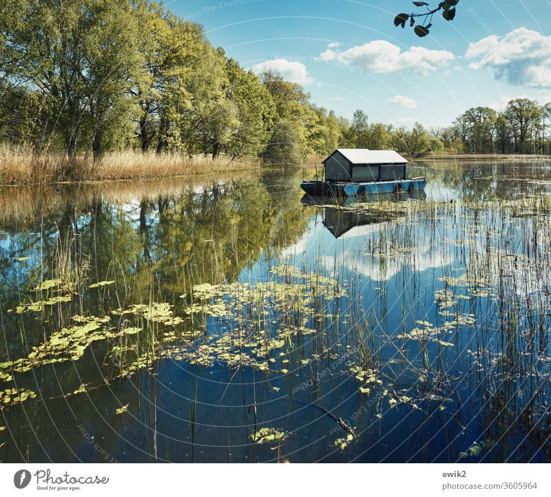 It dawdles Houseboat Mirror Lake Surface of water Watercraft tranquillity Idyll wide Reflection Exterior shot out Nature Sky Clouds Calm Environment Landscape