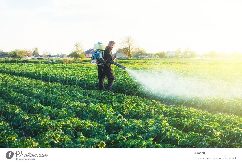 Farmer spraying a chemical copper sulfate on a potato plantation to protect against fungal infections. Agribusiness, agricultural industry. Crop protection. Modern technologies in agriculture