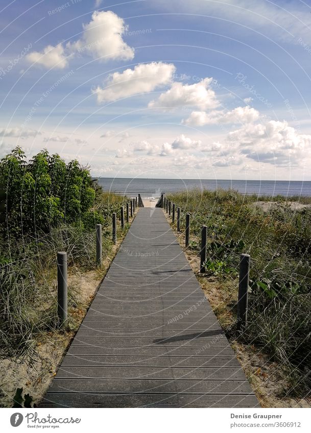 Wooden walkway that leads to the beach to the Baltic Sea coast sea wooden baltic dune horizon sand water coastal forest grass gulf hill jurmala latvia pine